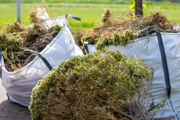 Best Shed Removal  in Grandview, OK
